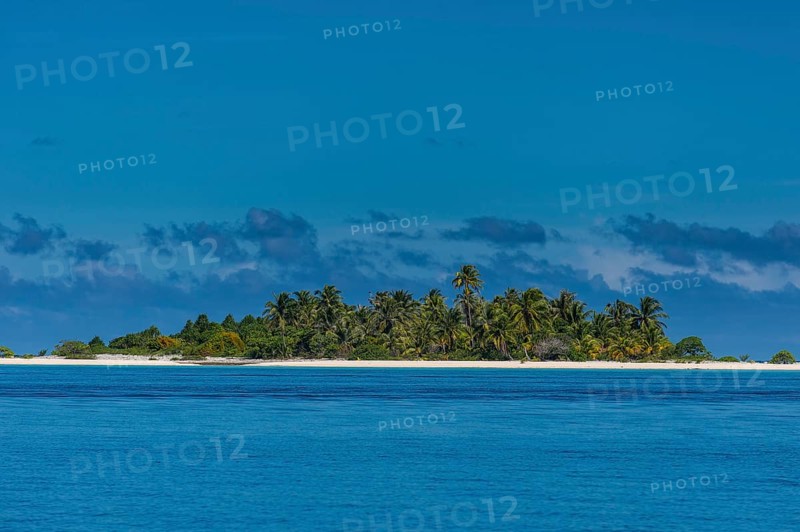 Palm fringed white sand beach in the turquoise waters of Tikehau