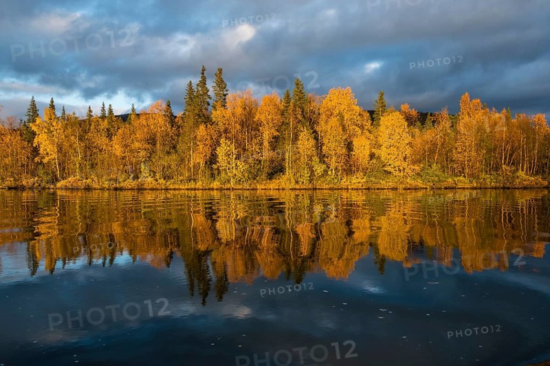 Autumn landscape
