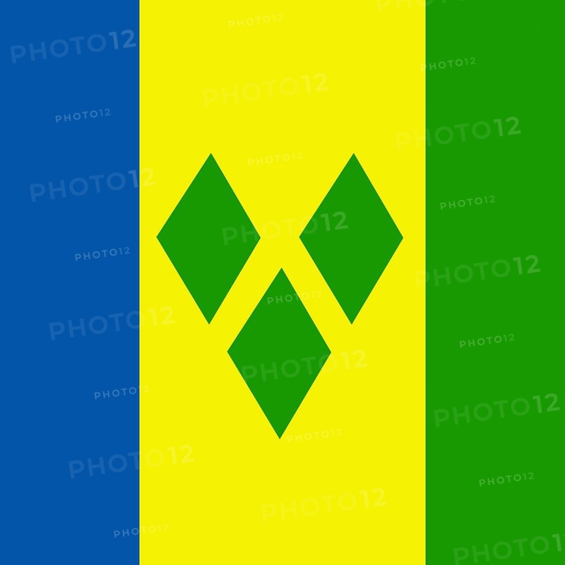 Official national flag of