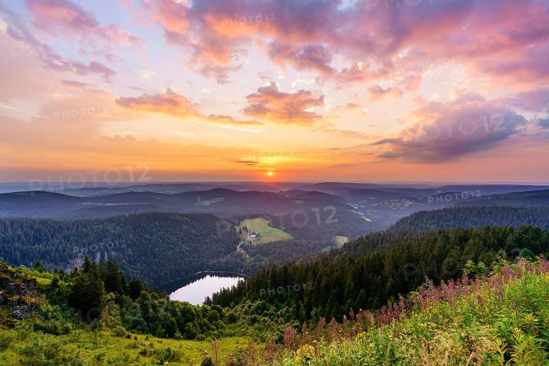 View from Feldberg mountain to lake Feldsee