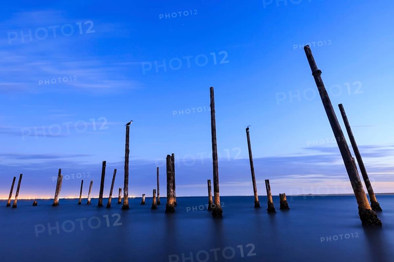 Piles of a decayed pier in the water at dusk