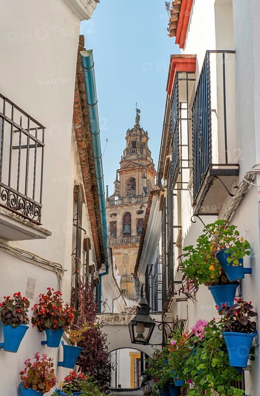 Calle de las Flores