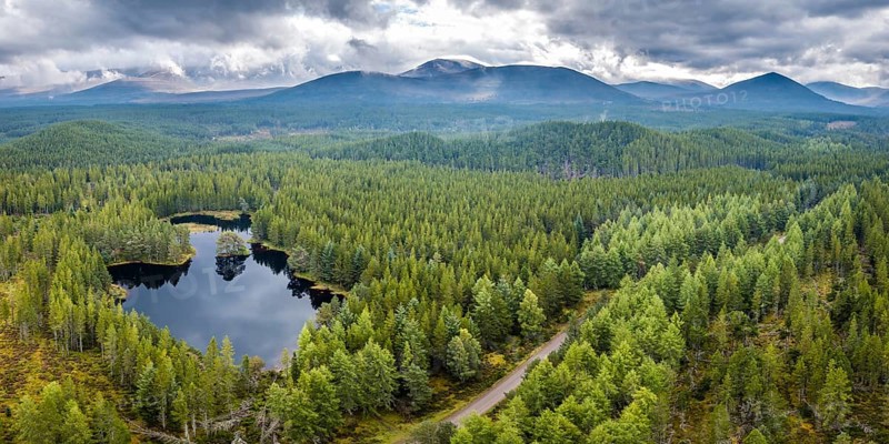 Overview of Loch Morlich