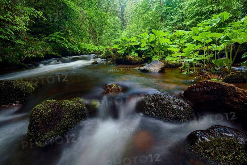 Haslach Gorge