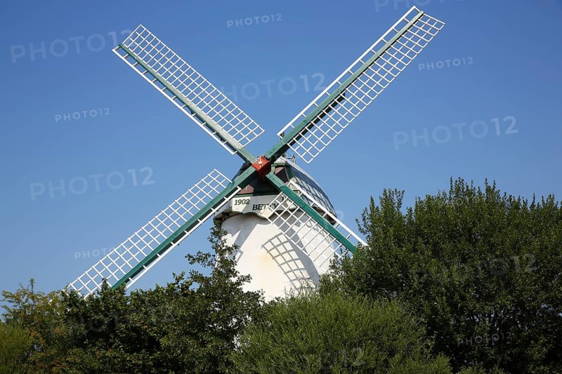Windmill Betty