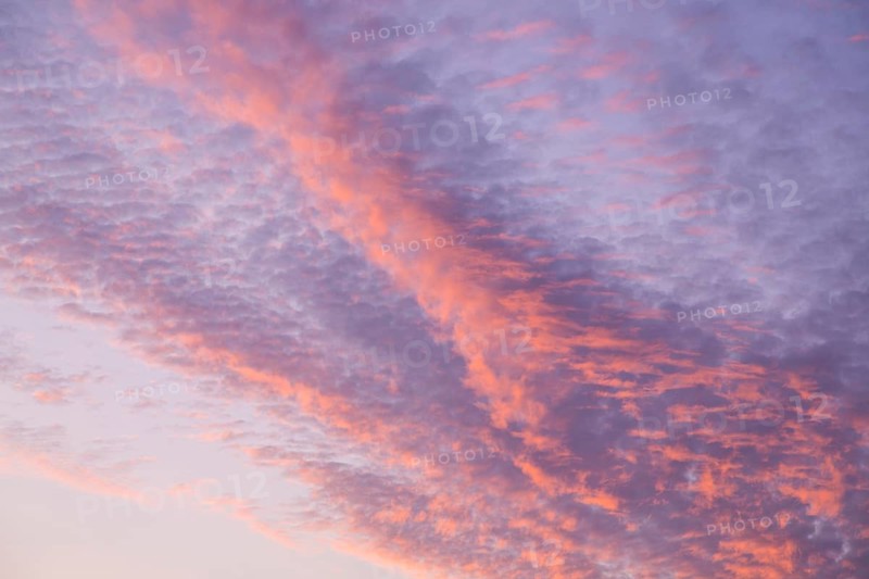 Rosy cirrus clouds