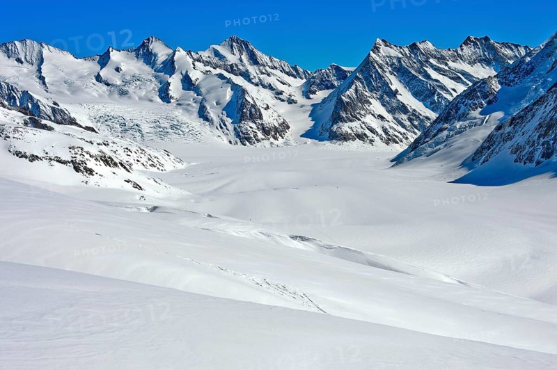 View from the Lotschenlucke over the snow-covered Grosser Aletschfirn towards Konkordiaplatz and the Bernese Alps