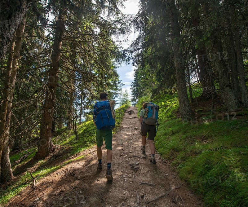 Hikers on trail in the forest to Hochwurzen