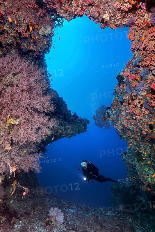 Diver looks at great reef breakthrough