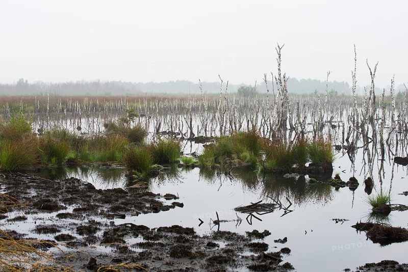 Theikenmeer nature reserve