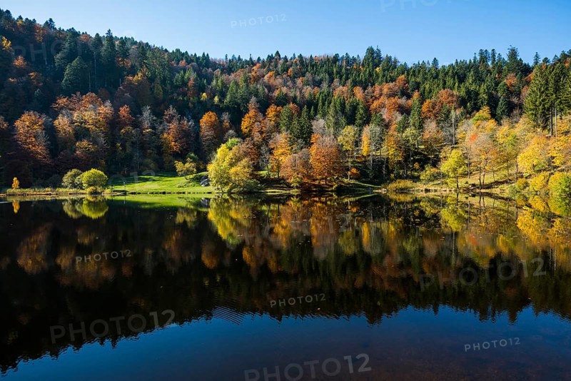 Lake with autumnal forest