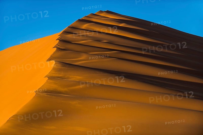 Dune crest