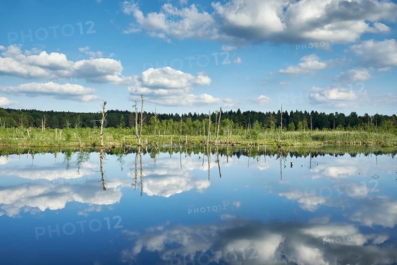 View over the Regenmoor marshland and Neckar origin Schwenninger Moos