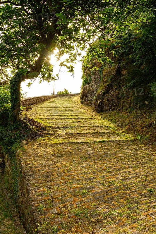 Driveway to the castle