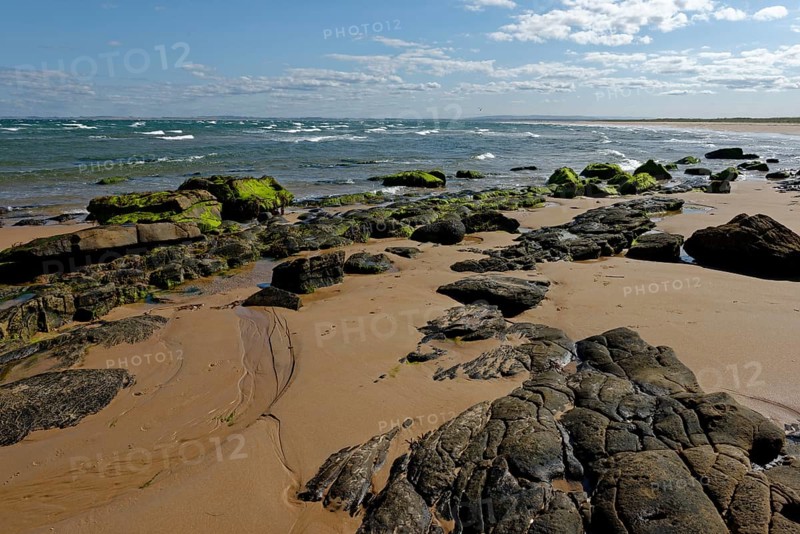 Rocky beach