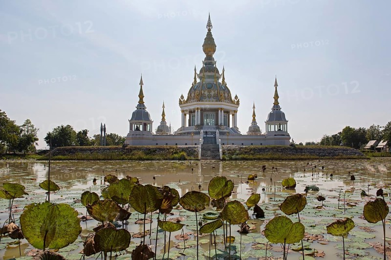 Pond with Lotus (Nelumbo) in front of Maha Rattana Chedi of Wat Thung Setthi