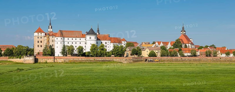 Cityscape with Hartenfels Castle and municipal church St.Marien