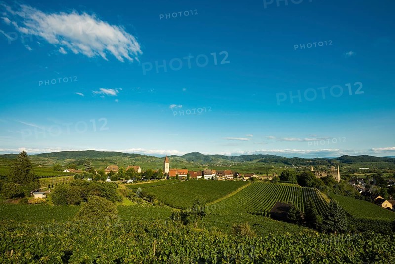 Wine village and cultural landscape in autumn