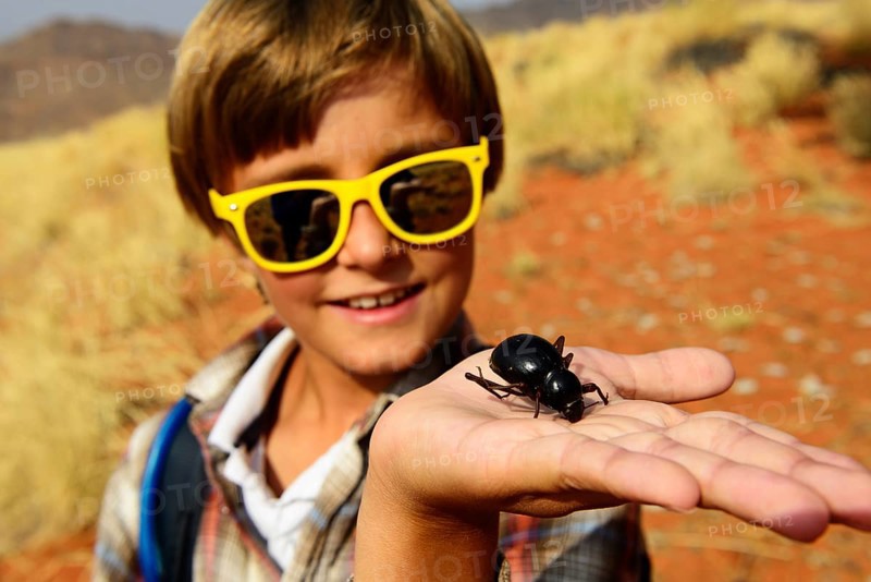 Boy holds a black beetle in the hand