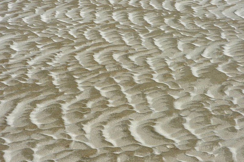 Sand surface formed by wind and tidal current in the mud flats