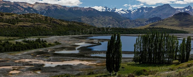 Clear mountain lake with reeds and trees behind the snow-capped mountains of the Andes