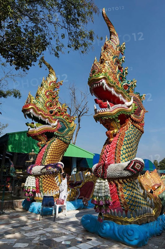 Naga snakes in Wat Pa Thamma Utthayan