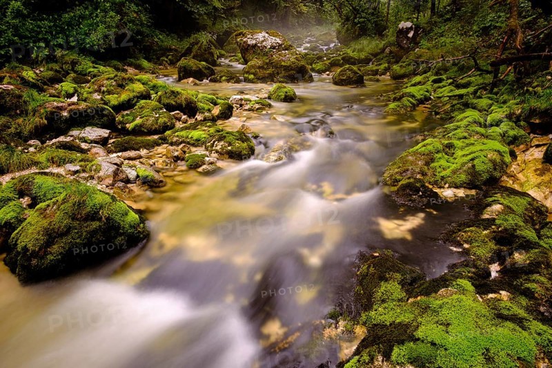Schwarzbach creek