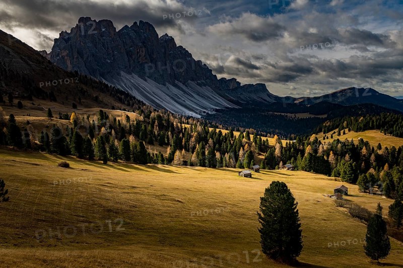 Odle group with Larch forest (Larix) and alpine huts in autumn
