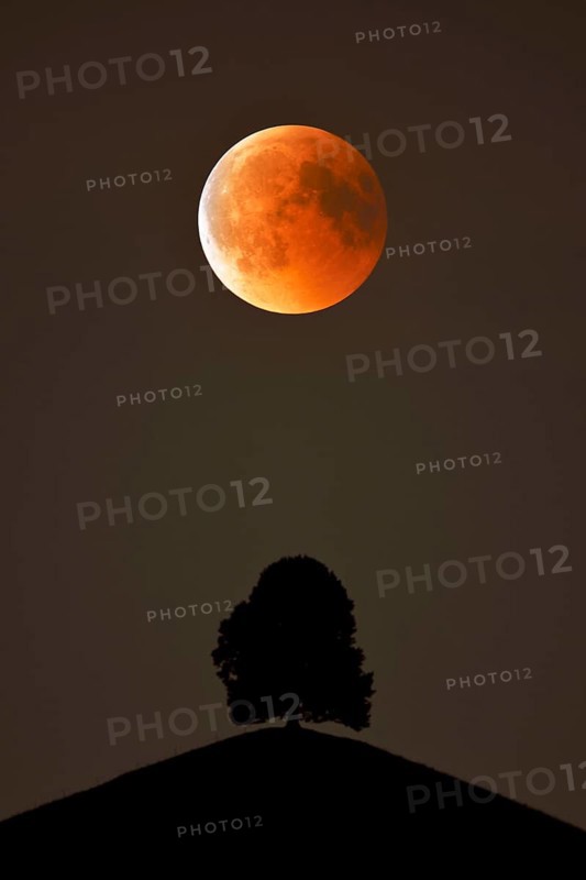 Bloodmoon