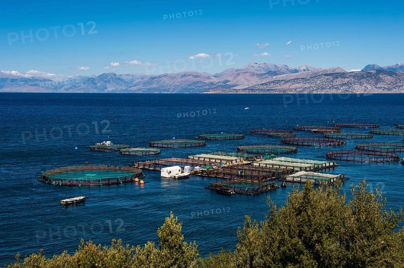 Fishfarm in Kassiopi