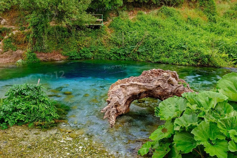 Karst Spring Blue Eye
