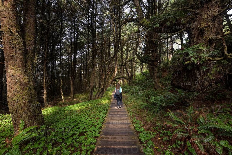 Tourist on her way through rainforest