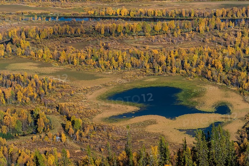 Autumn landscape