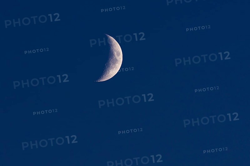 Moon crescent in the evening sky