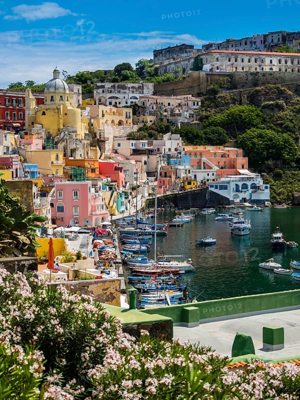 Colorful houses
