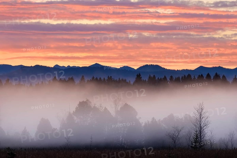 Alpine foothills landscape at morning fog