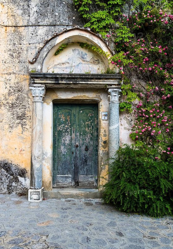 Weathered entrance door with climbing roses