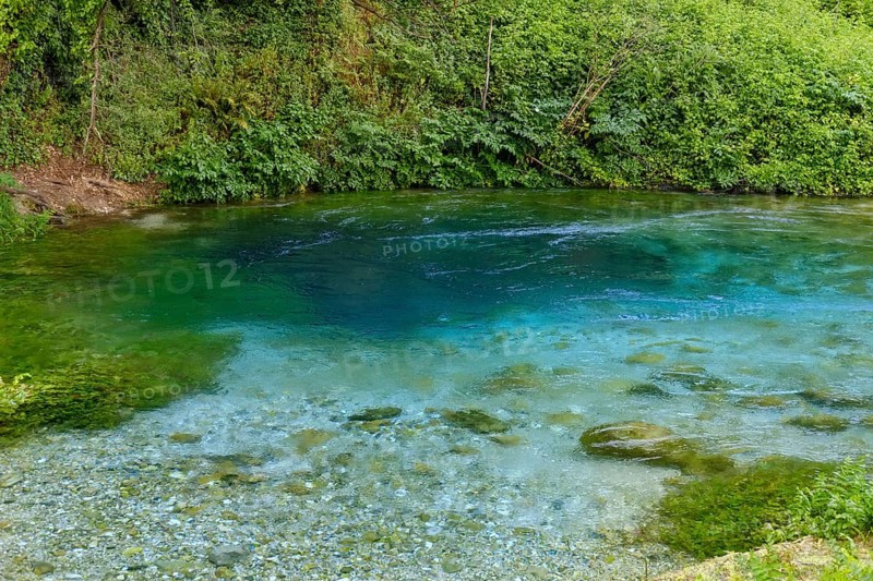 Karst Spring Blue Eye