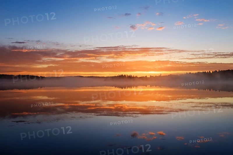 Dawn