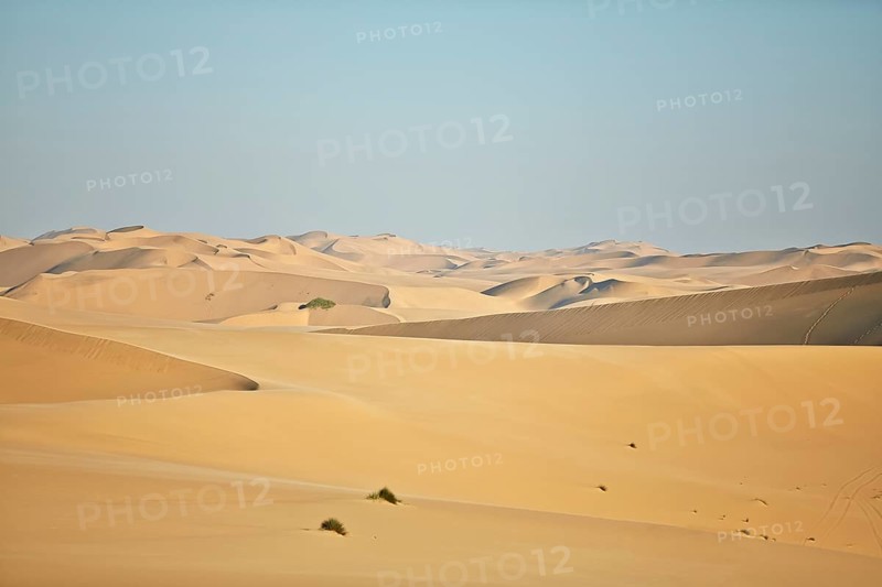 Sand dunes near Lange Wand