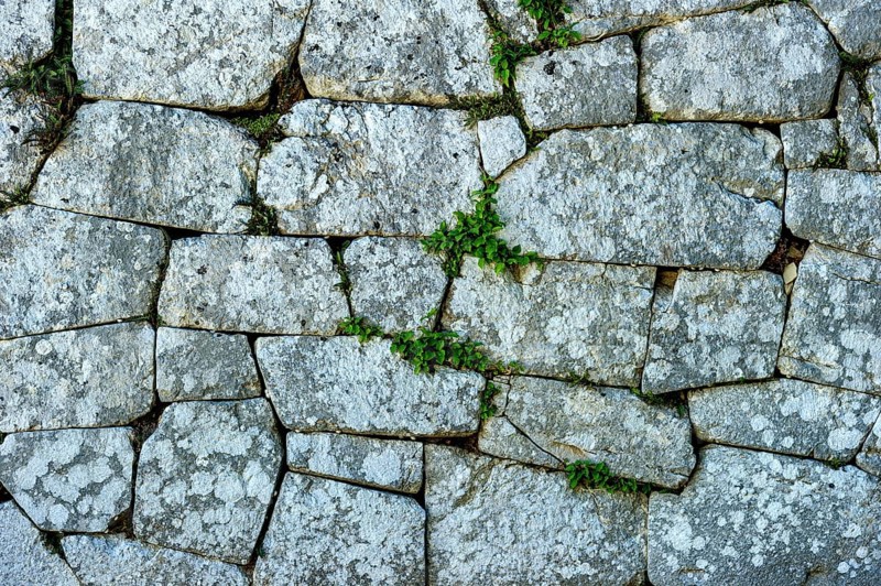 Background picture