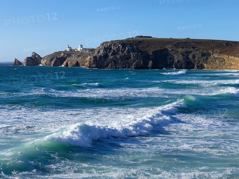 Surf