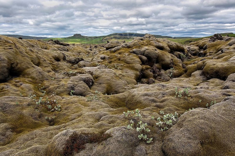 Volcanic landscape