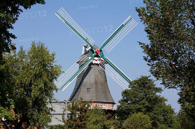 Gallery Dutchman