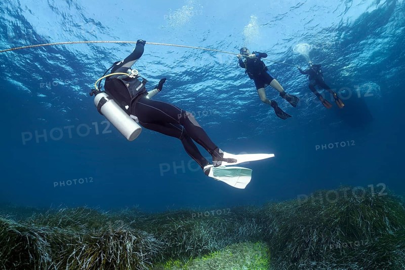 Divers dive on rope