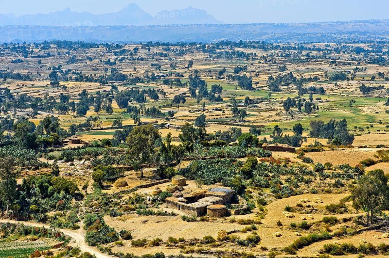 View of fields