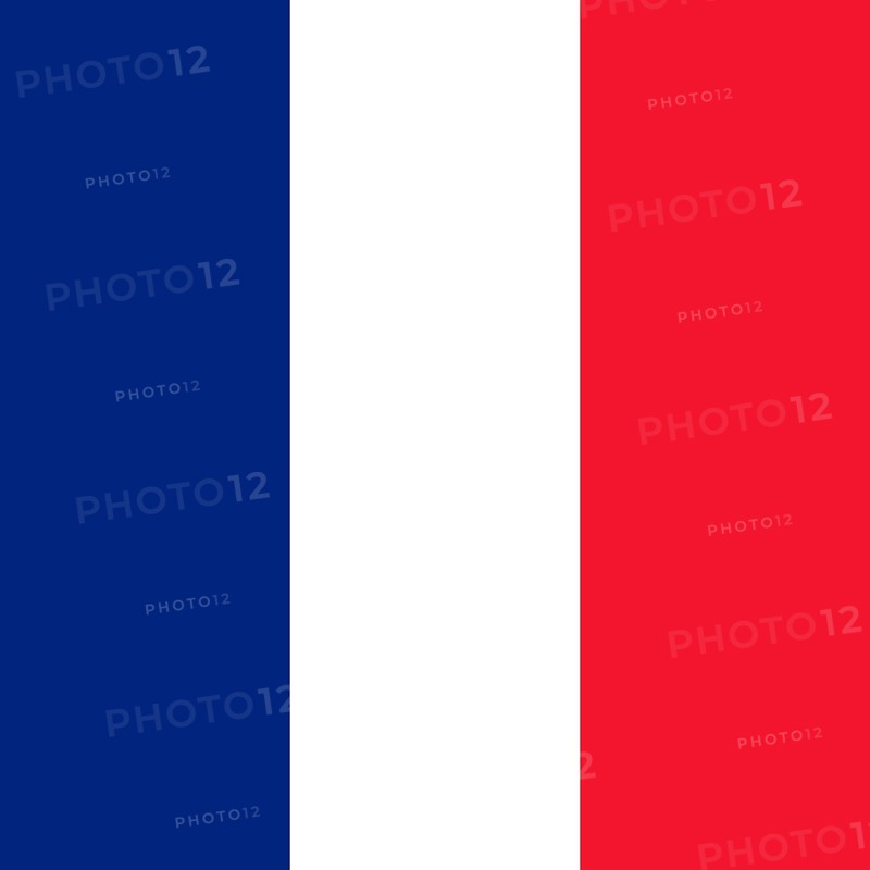 Official national flag of Mayotte