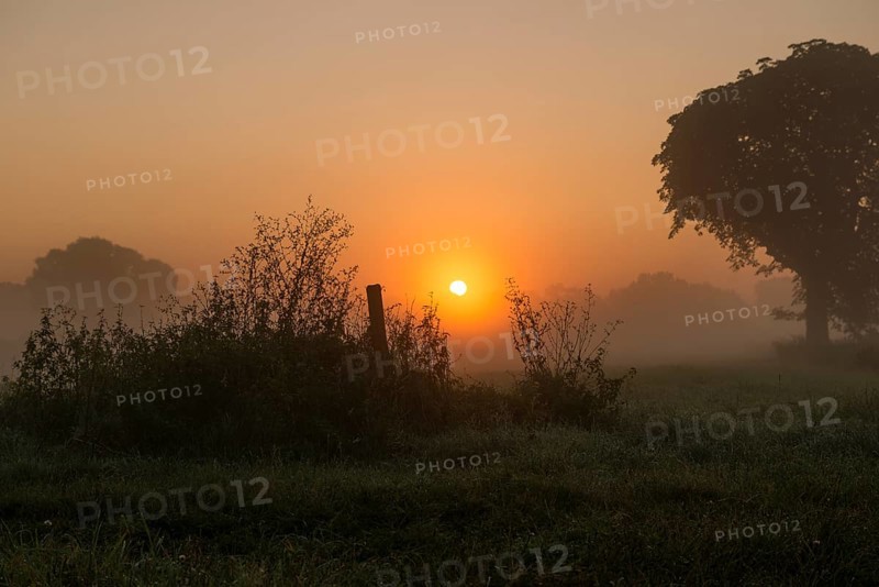 Morning fog over meadow landscape at sunrise