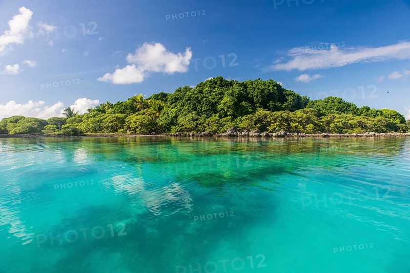Clear waters on Bird Island
