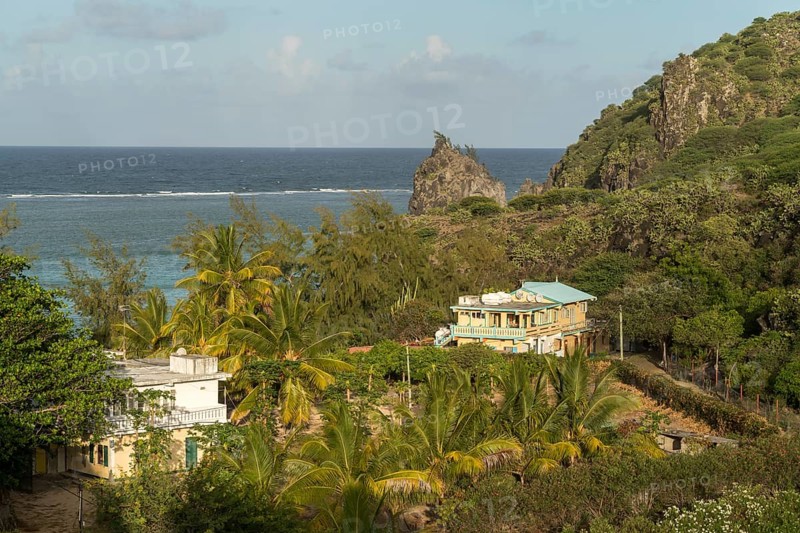 Coast covered with palm trees and prickly pears